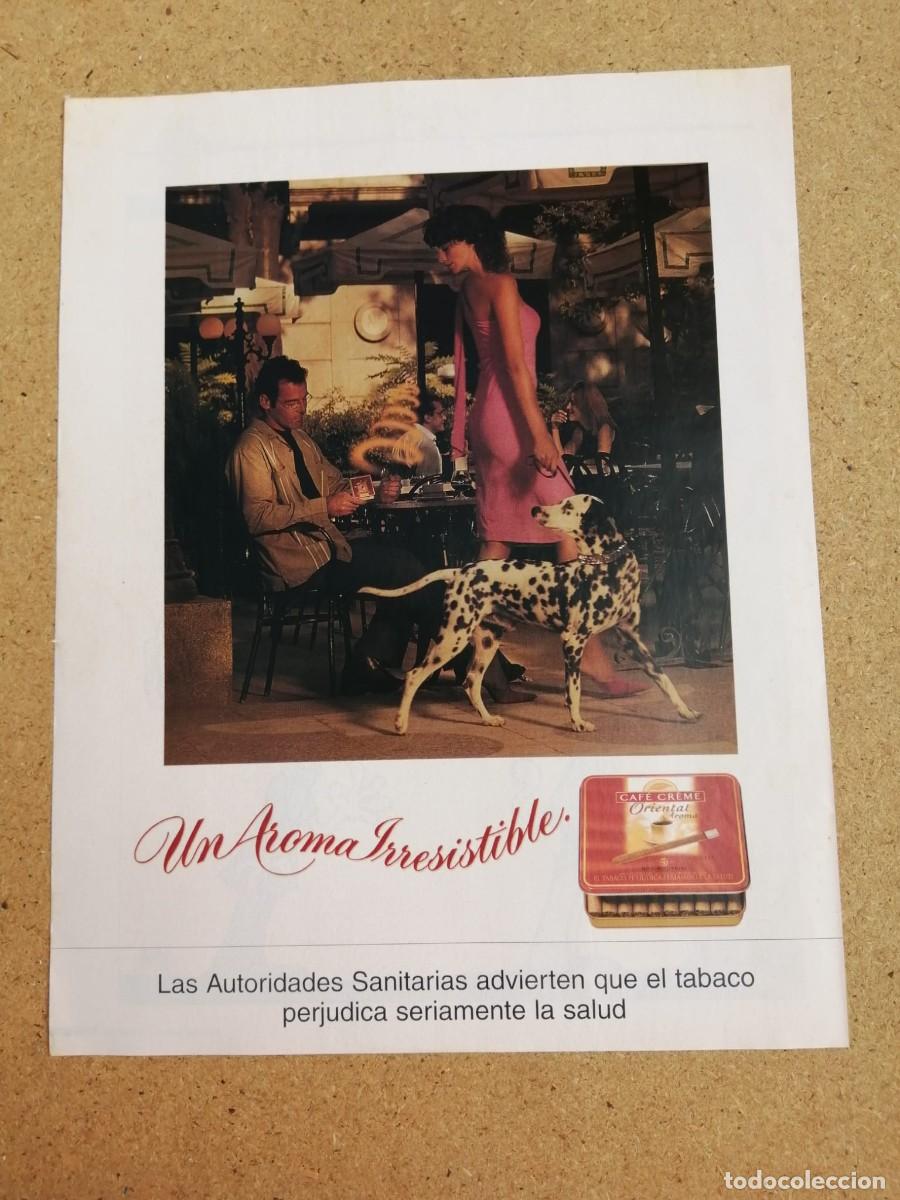 Otros art&iacute;culos de coleccionismo en papel: ANUNCIO. PURITOS CAFE CREME ORIENTAL