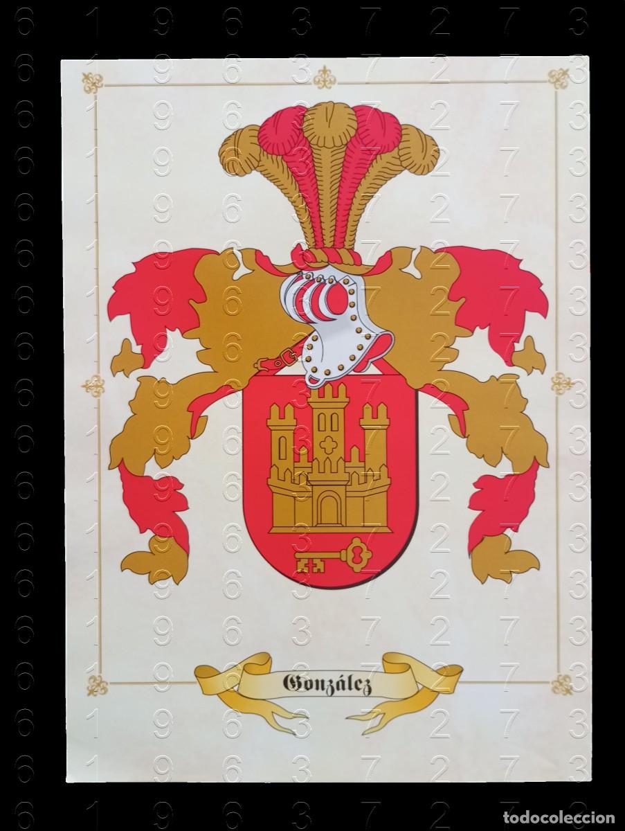 Otros art&iacute;culos de coleccionismo en papel: APELLIDO GONZALEZ LAMINA EN PAPEL COUCHE 34 CENTIMETROS GENEALOGIA HERALDICA LG29