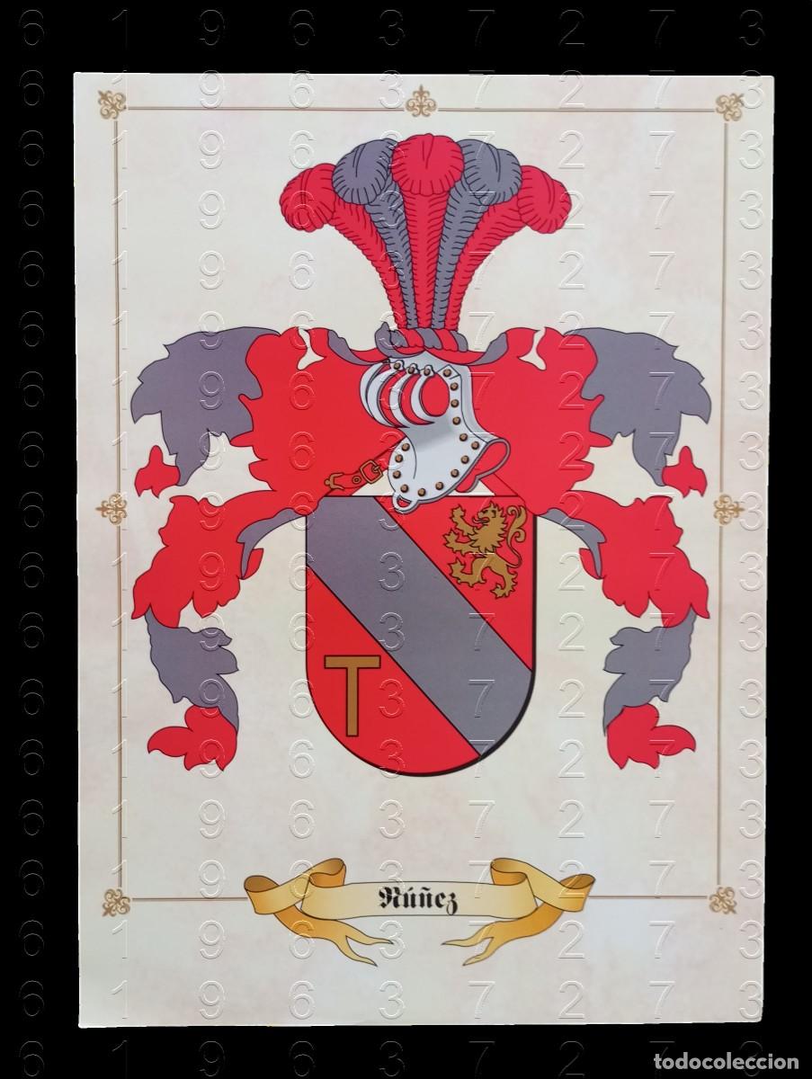 Otros art&iacute;culos de coleccionismo en papel: APELLIDO NU&Ntilde;EZ LAMINA EN PAPEL COUCHE 34 CENTIMETROS GENEALOGIA HERALDICA LG29