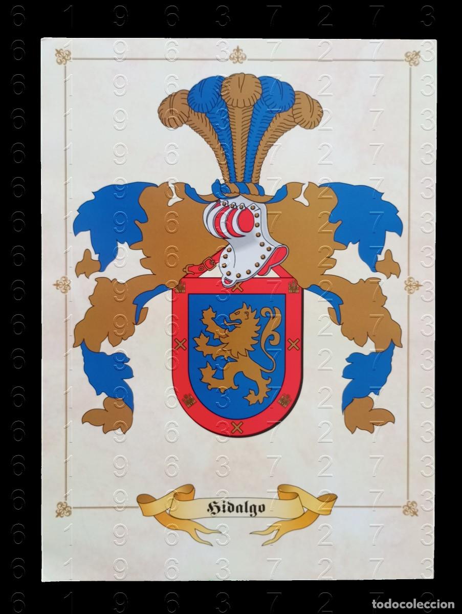 Otros art&iacute;culos de coleccionismo en papel: APELLIDO HIDALGO LAMINA EN PAPEL COUCHE 34 CENTIMETROS GENEALOGIA HERALDICA LG29