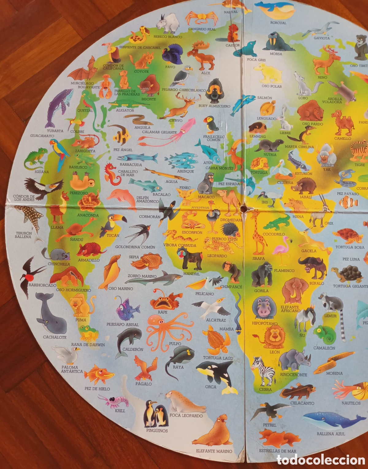 Otros art&iacute;culos de coleccionismo en papel: LIBRO EL GRAN ATLAS DE LOS ANIMALES - Foto 5