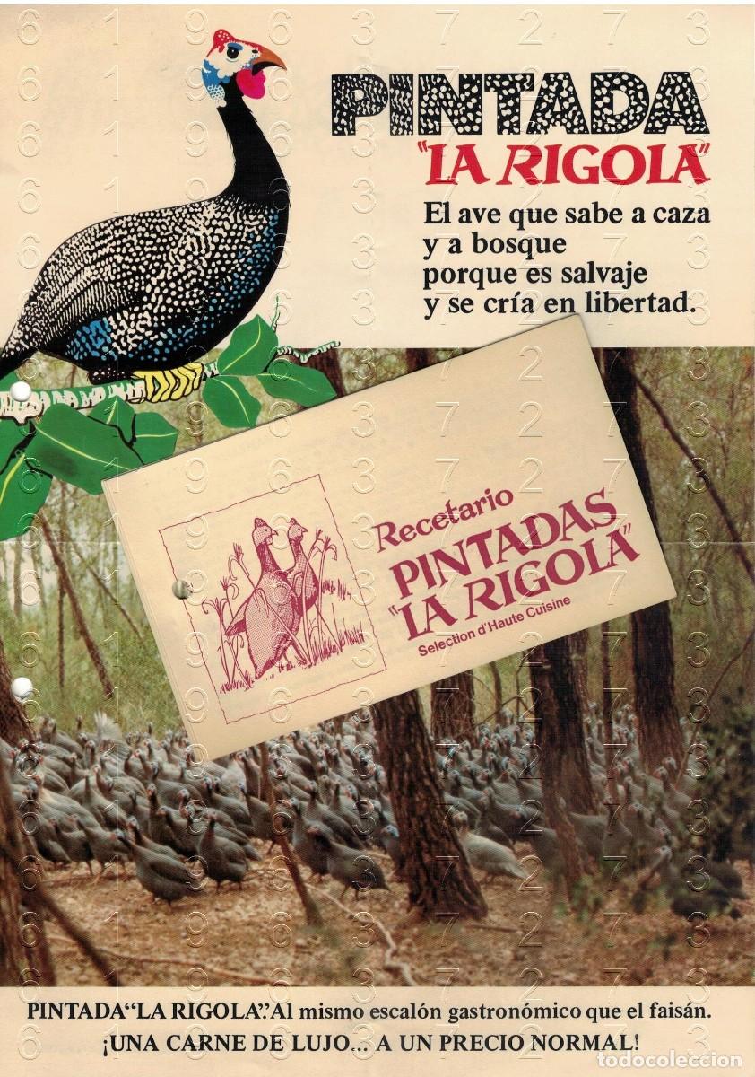 Otros art&iacute;culos de coleccionismo en papel: COCINA RECETAS PINTADA LA RIGOLA HOJA PUBLICIDAD Y RECETARIO 6 RECETAS 1980 M37