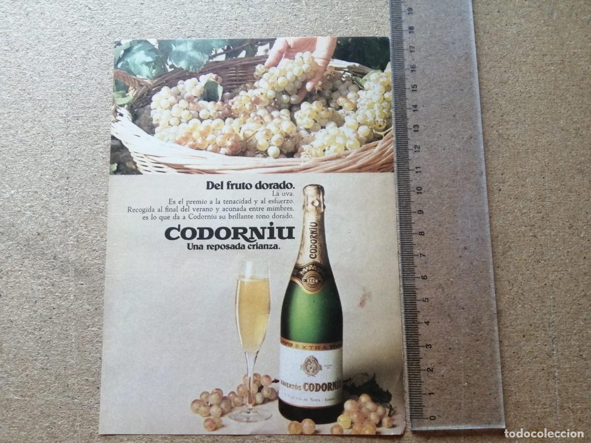 Otros art&iacute;culos de coleccionismo en papel: ANUNCIO. CAVA CODORNIU