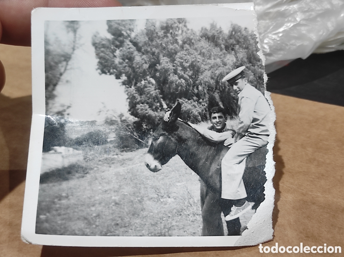 Otros art&iacute;culos de coleccionismo en papel: Fotograf&iacute;a Legionarios en un burro (cortada). Marina Ej&eacute;rcito (PEDIDO MINIMO 10&euro;)