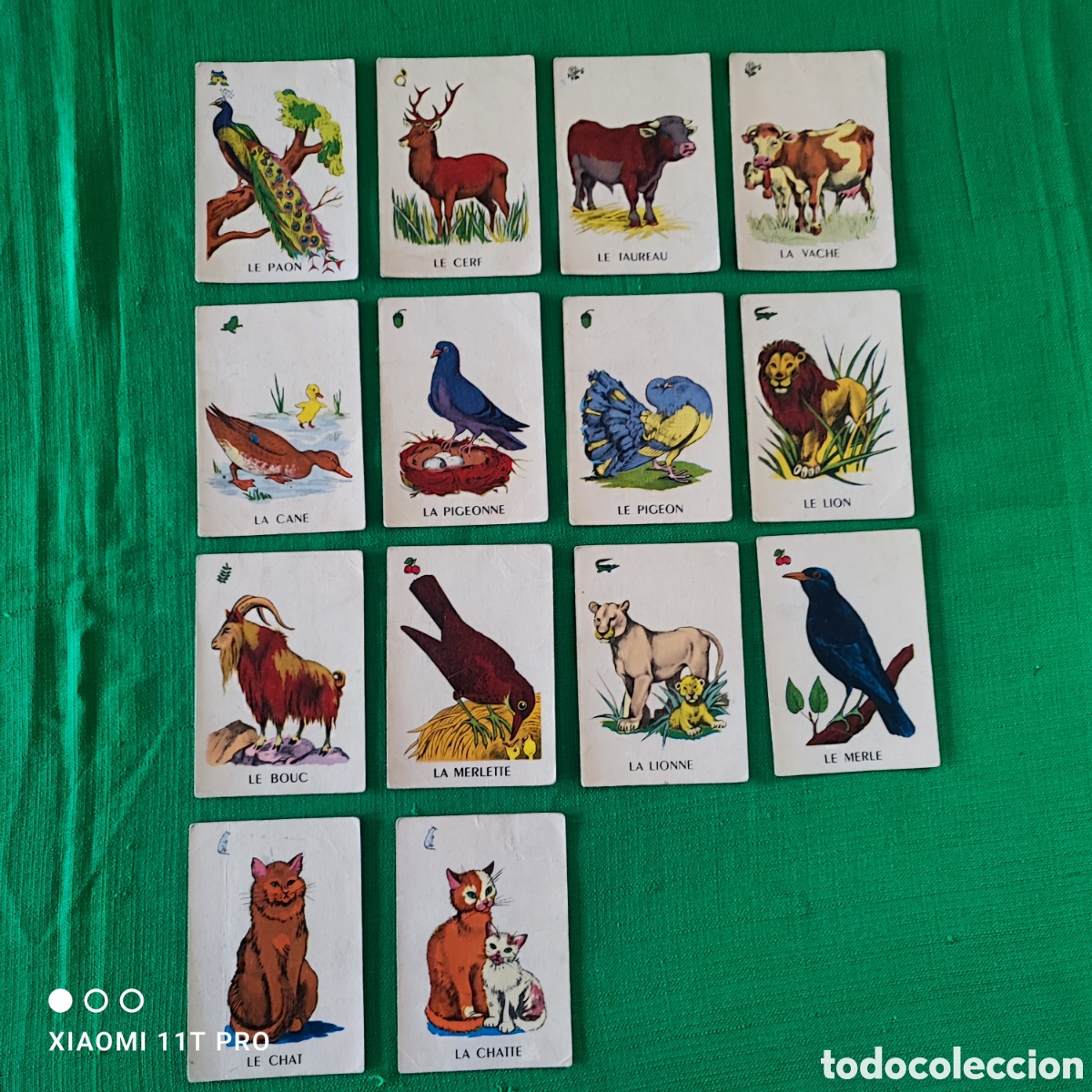 Otros art&iacute;culos de coleccionismo en papel: Lote de 14 cartas baraja francesa animales.