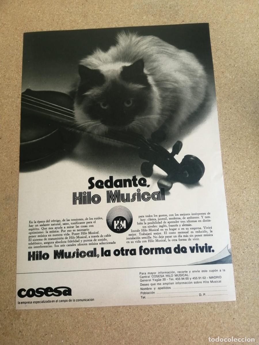 Otros art&iacute;culos de coleccionismo en papel: ANUNCIO. HILO MUSICAL, LA OTRA FORMA DE VIVIR