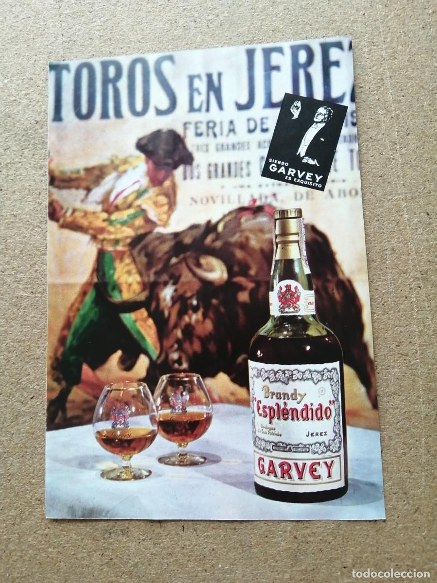 Otros art&iacute;culos de coleccionismo en papel: ANUNCIO. BRANDY ESPLENDIDO GARVEY