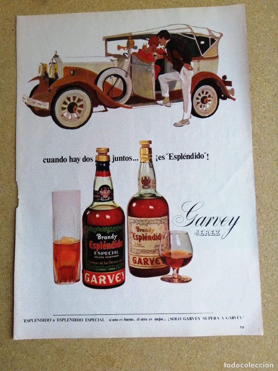 Otros art&iacute;culos de coleccionismo en papel: ANUNCIO. BRANDY ESPLENDIDO GARVEY