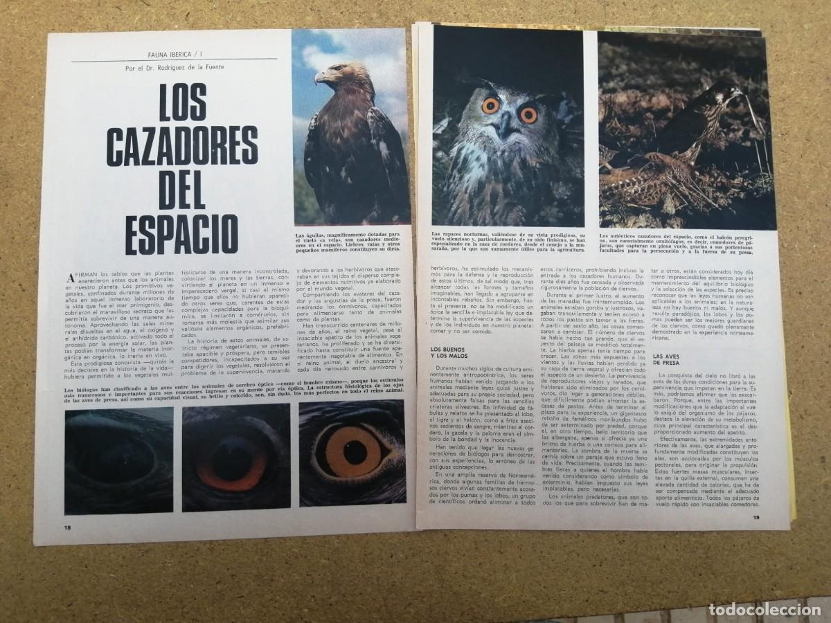 Otros art&iacute;culos de coleccionismo en papel: REPORTAJE. FELIX RODRIGUEZ DE LA FUENTE, LOS CAZADORES DEL ESPACIO