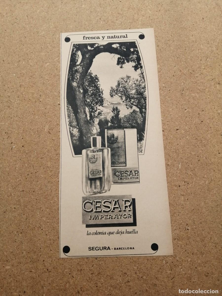 Otros art&iacute;culos de coleccionismo en papel: ANUNCIO. COLONIA CESAR IMPERATOR
