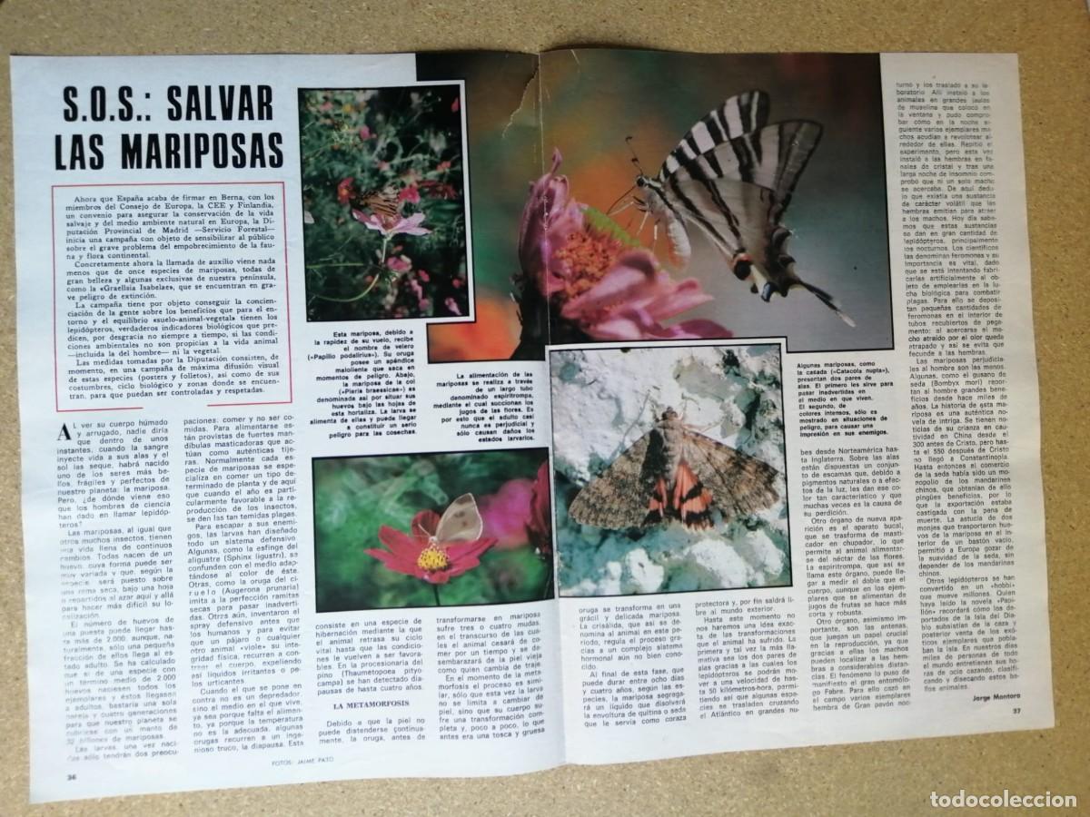 Otros art&iacute;culos de coleccionismo en papel: REPORTAJE. SOS, SALVAR LAS MARIPOSAS