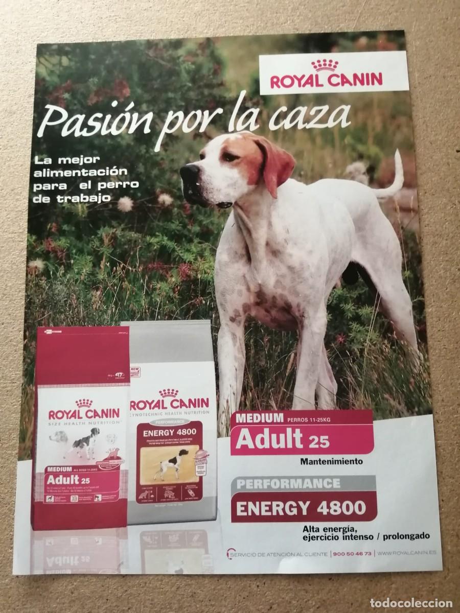 Otros art&iacute;culos de coleccionismo en papel: ANUNCIO. ROYAL CANIN