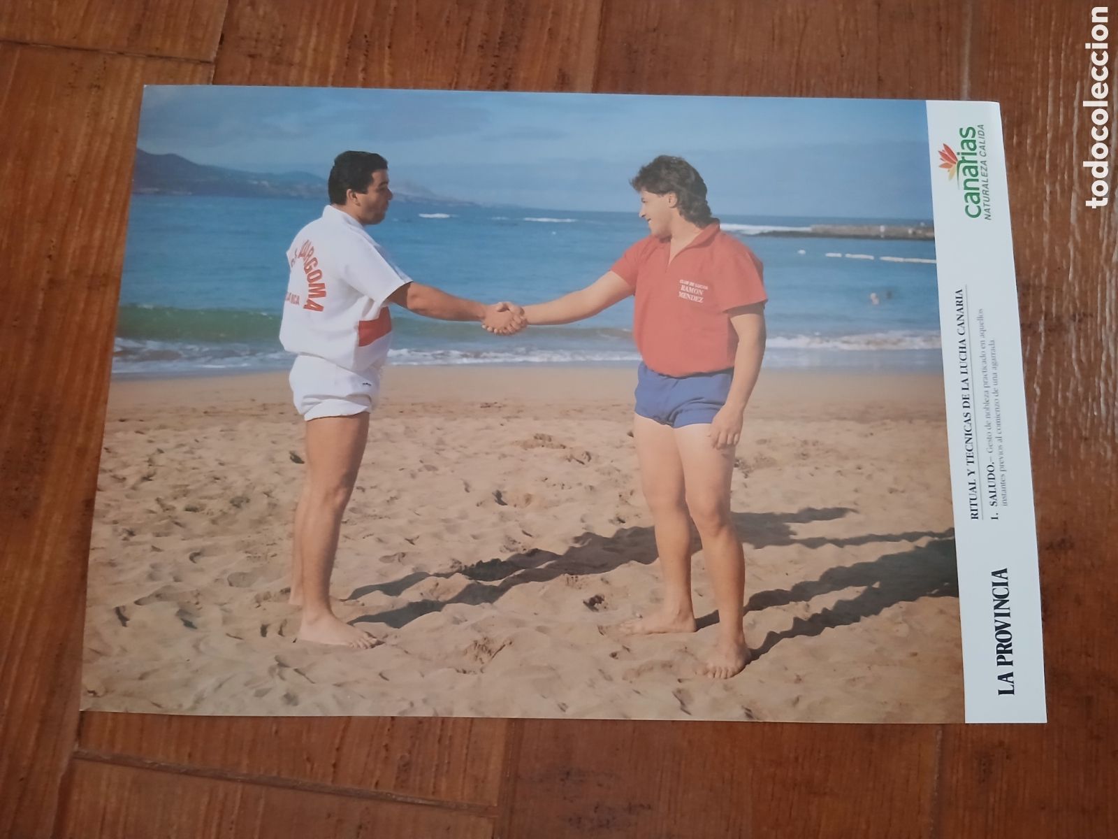 Otros art&iacute;culos de coleccionismo en papel: Lamina Deporte Canario -Lucha Canari- 1.991