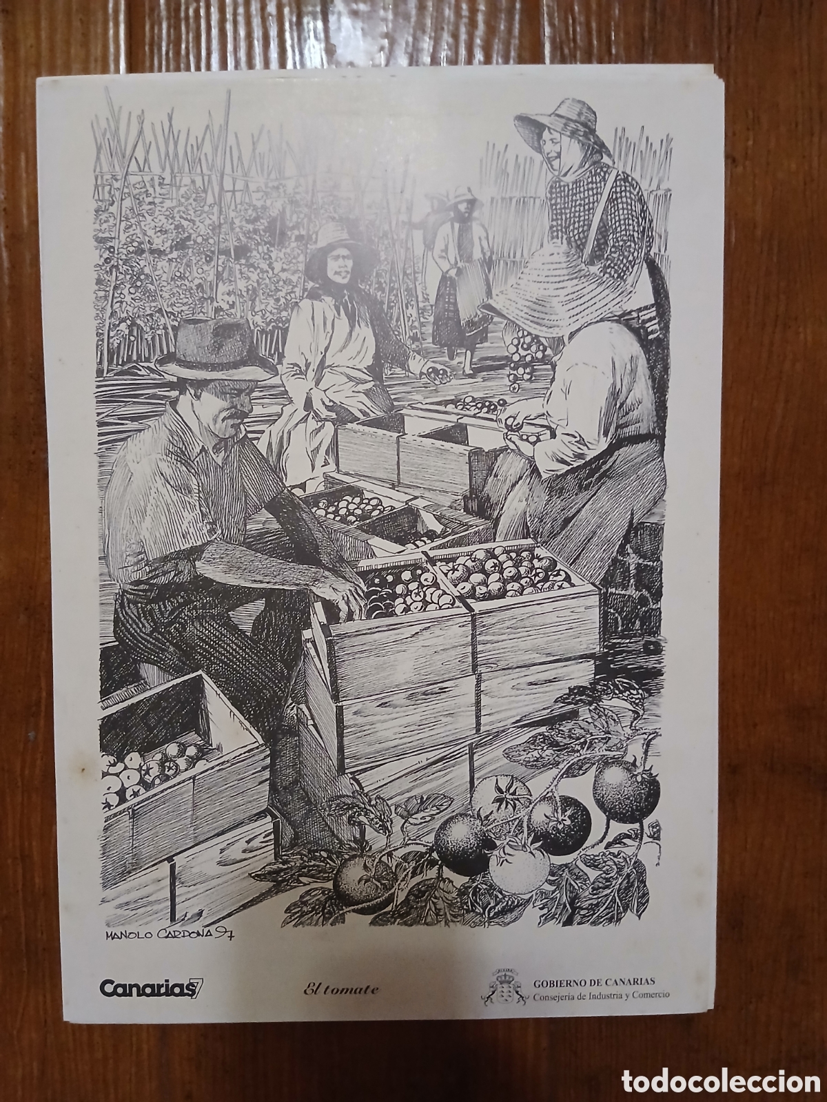 Otros art&iacute;culos de coleccionismo en papel: Lamina Labores Canarias-El Tomate- Canarias 7 -35x25cm- 1.983