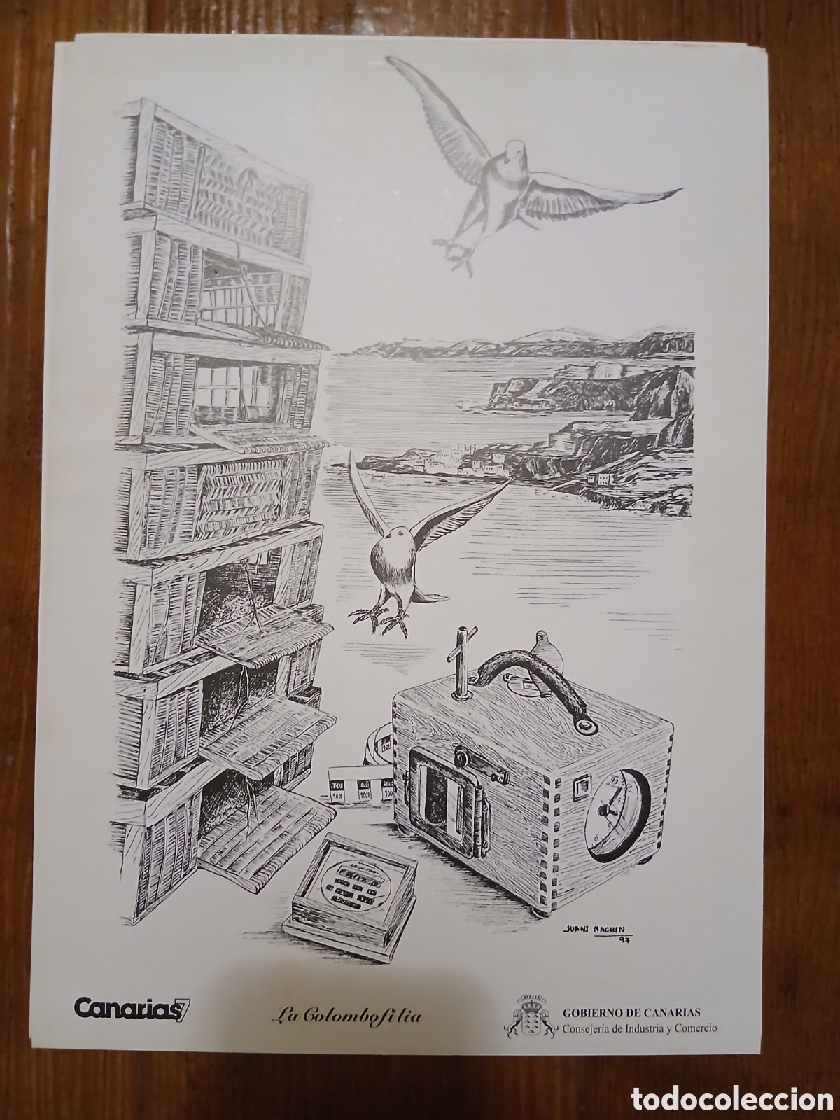 Otros art&iacute;culos de coleccionismo en papel: L&aacute;mina Labores Canarias -La Golombofilia- Canarias 7 -35x25cm- 1.983