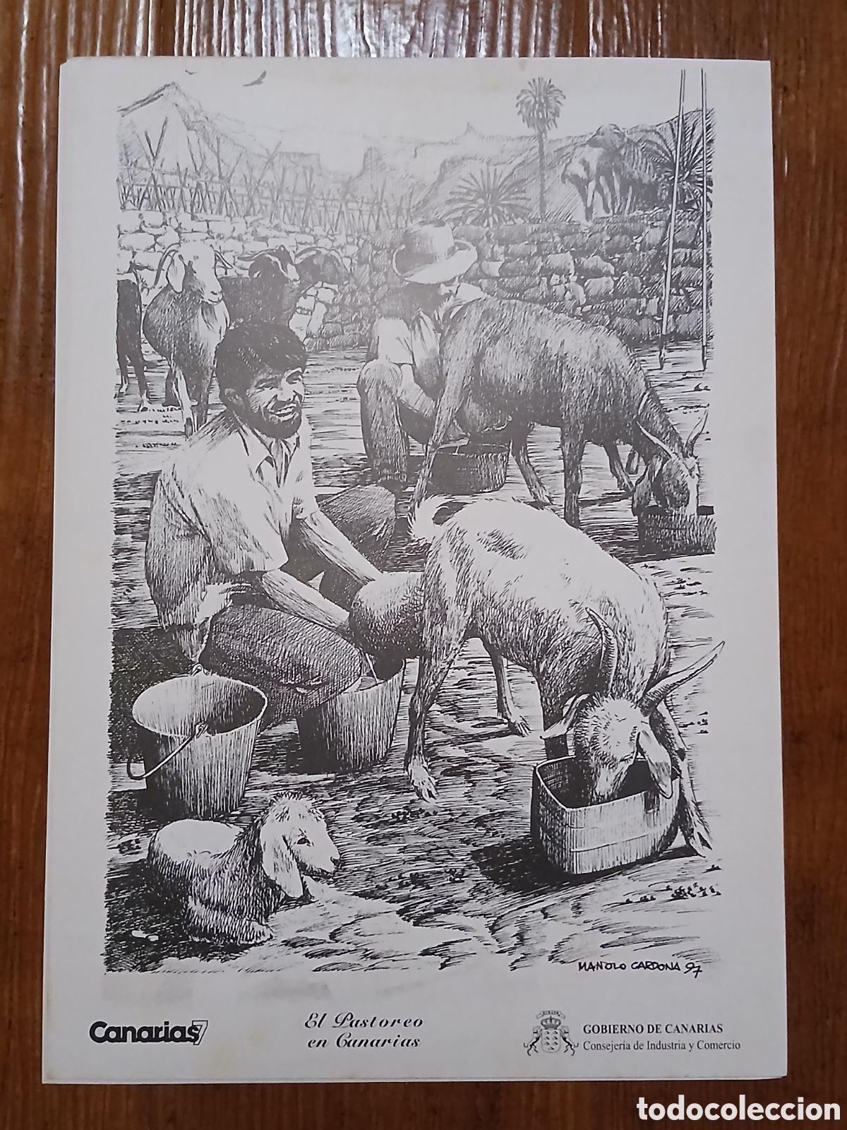 Otros art&iacute;culos de coleccionismo en papel: L&aacute;mina Labores Canarias -El Pastoreo en Canarias- Canarias 7 -35x25cm- 1983