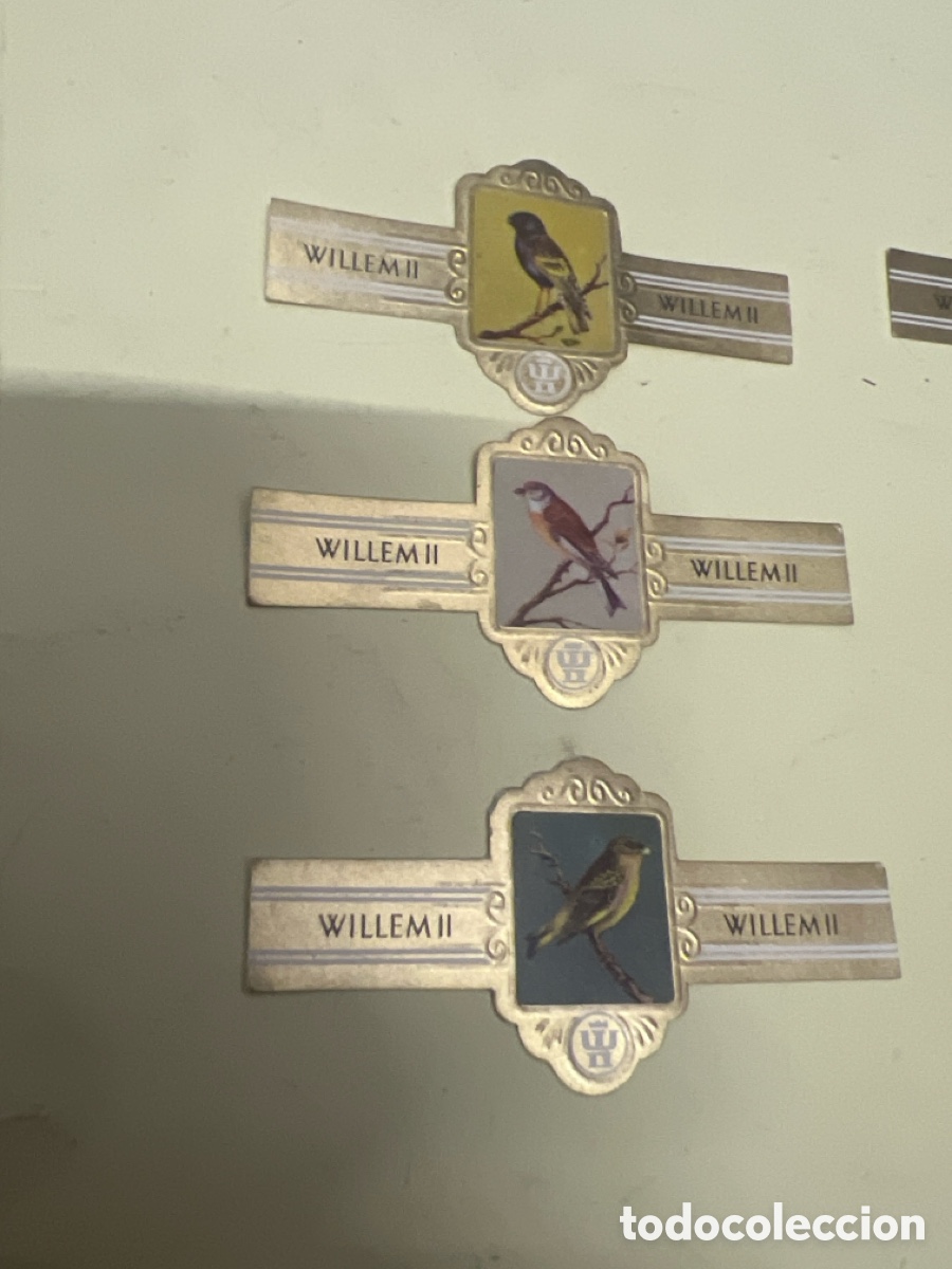 Otros art&iacute;culos de coleccionismo en papel: T2/V69. LOTE DE VITOLAS WILLEM II - AVES