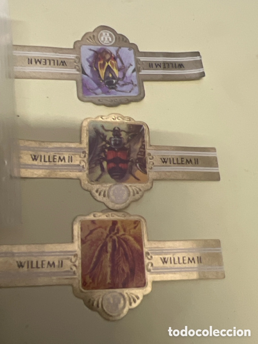 Otros art&iacute;culos de coleccionismo en papel: T2/V72. LOTE DE VITOLAS - WILLEM II - INSECTOS