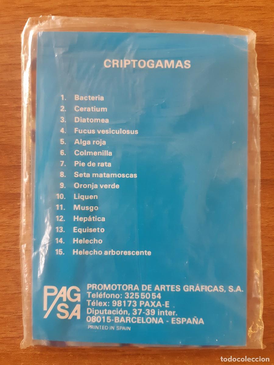 Otros art&iacute;culos de coleccionismo en papel: Lote Serie Completa Cript&oacute;gamas - PAGSA Barcelona A&ntilde;os 80