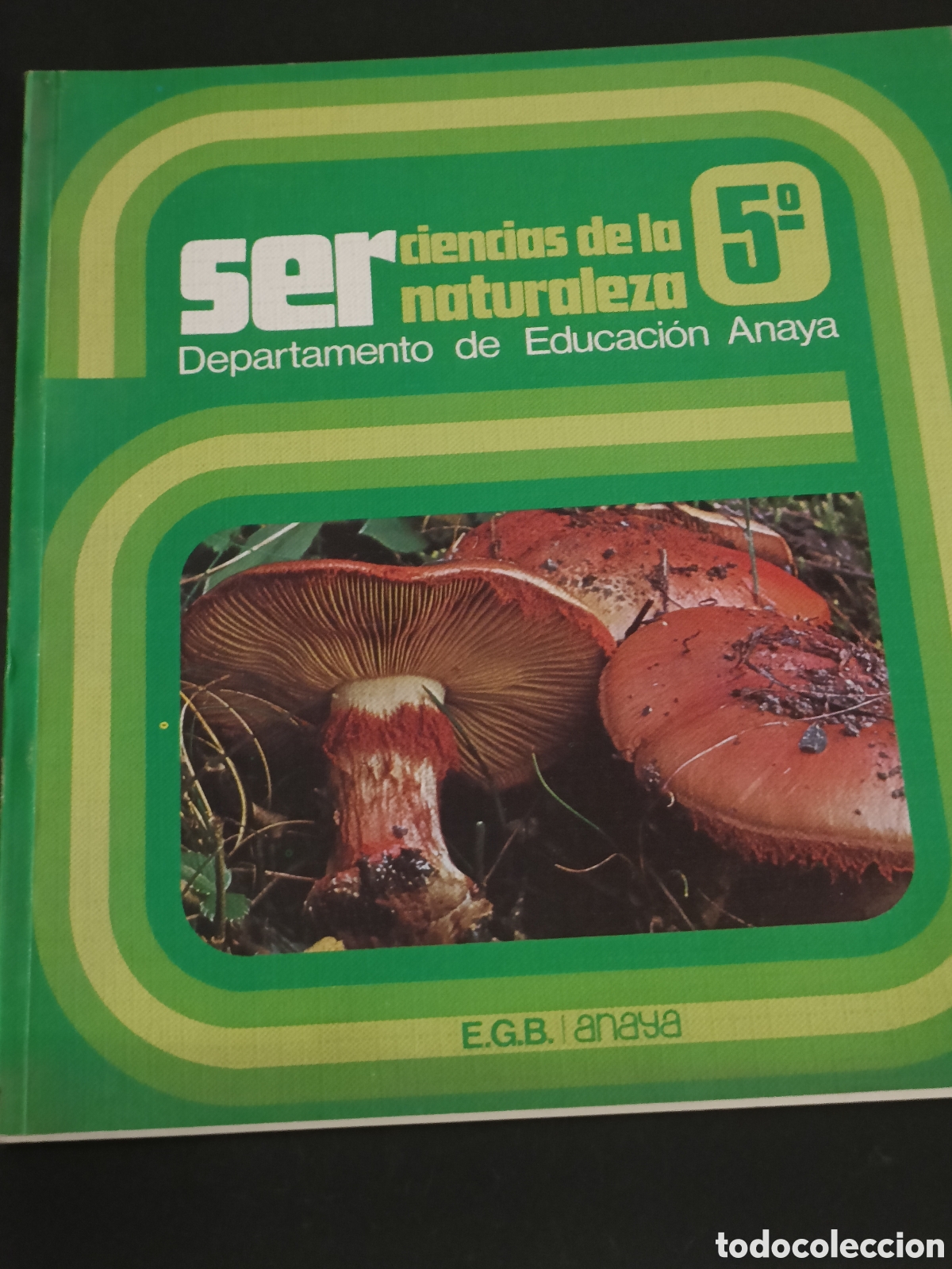 Otros art&iacute;culos de coleccionismo en papel: 1982 libro texto SER Ciencias de la naturaleza 5