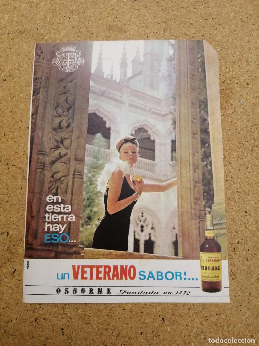 Otros art&iacute;culos de coleccionismo en papel: ANUNCIO. BRANDY VETERANO