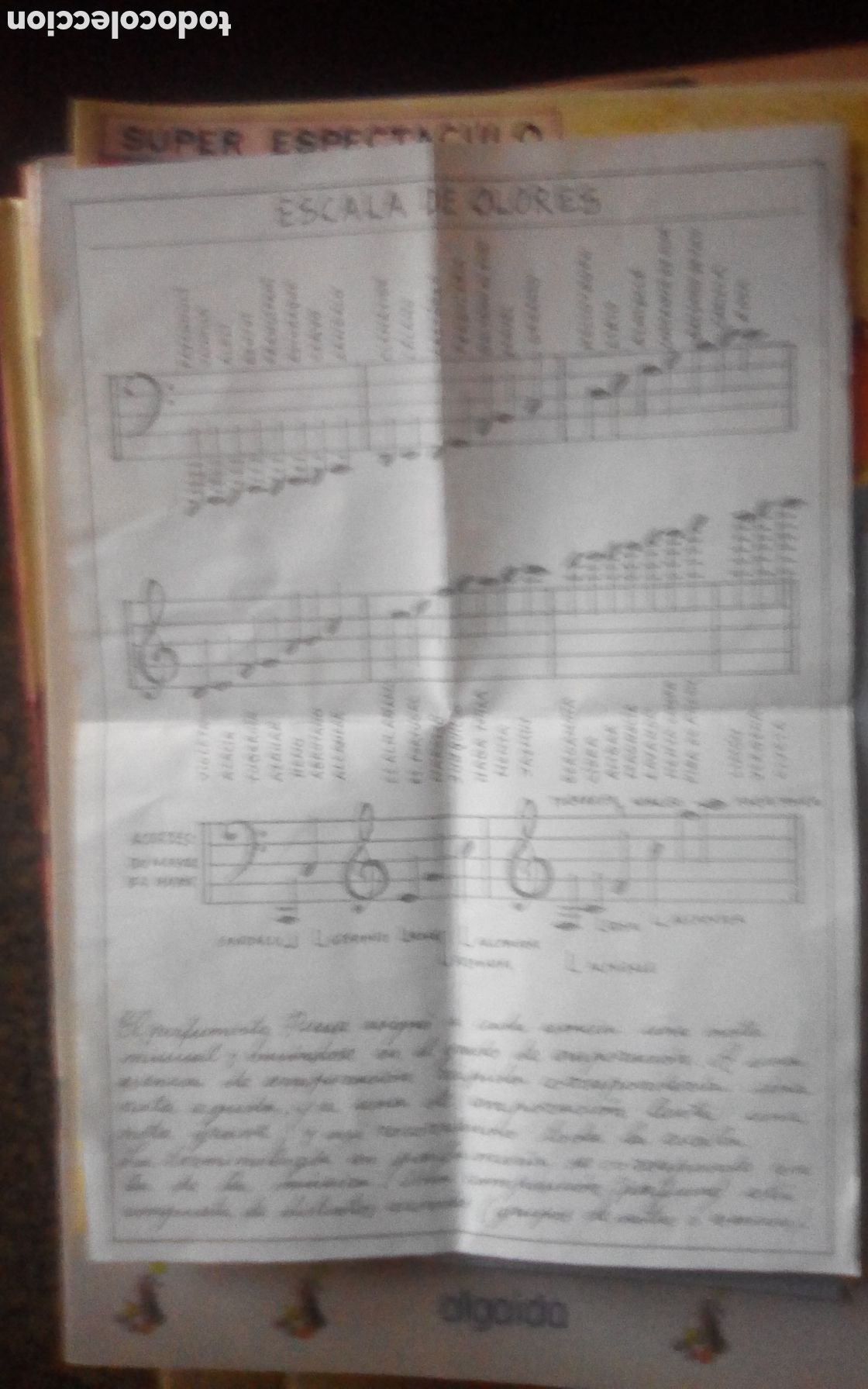 Otros art&iacute;culos de coleccionismo en papel: Hoja escala musical de olores y fragancias.
