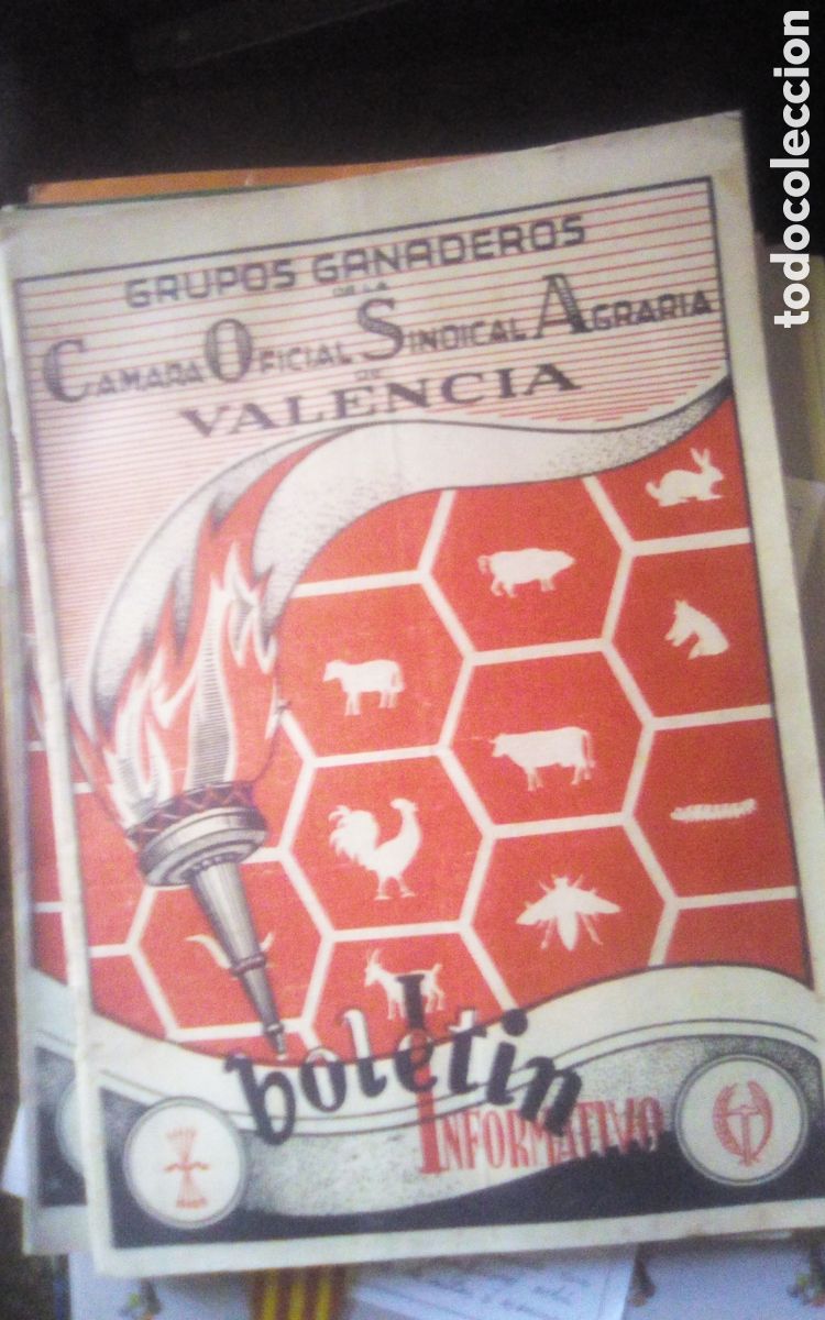 Otros art&iacute;culos de coleccionismo en papel: Bolet&iacute;n informativo Grupos Ganaderos de la C&aacute;mara Oficial Sindical Agraria de Valencia. N&deg; 26. 1956.