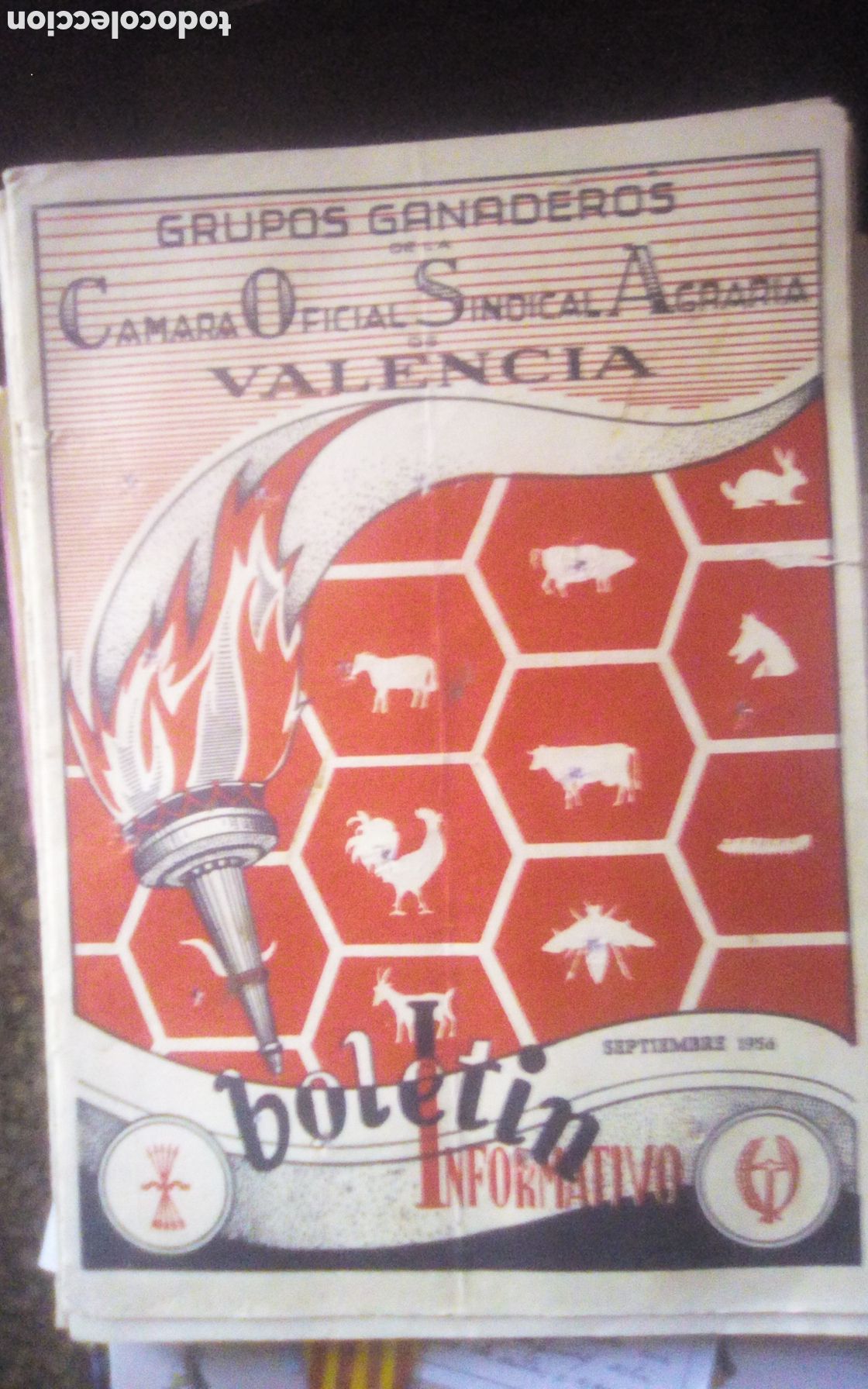 Otros art&iacute;culos de coleccionismo en papel: Bolet&iacute;n informativo Grupos Ganaderos de la C&aacute;mara Oficial Sindical Agraria de Valencia. N&deg; 29. 1956.