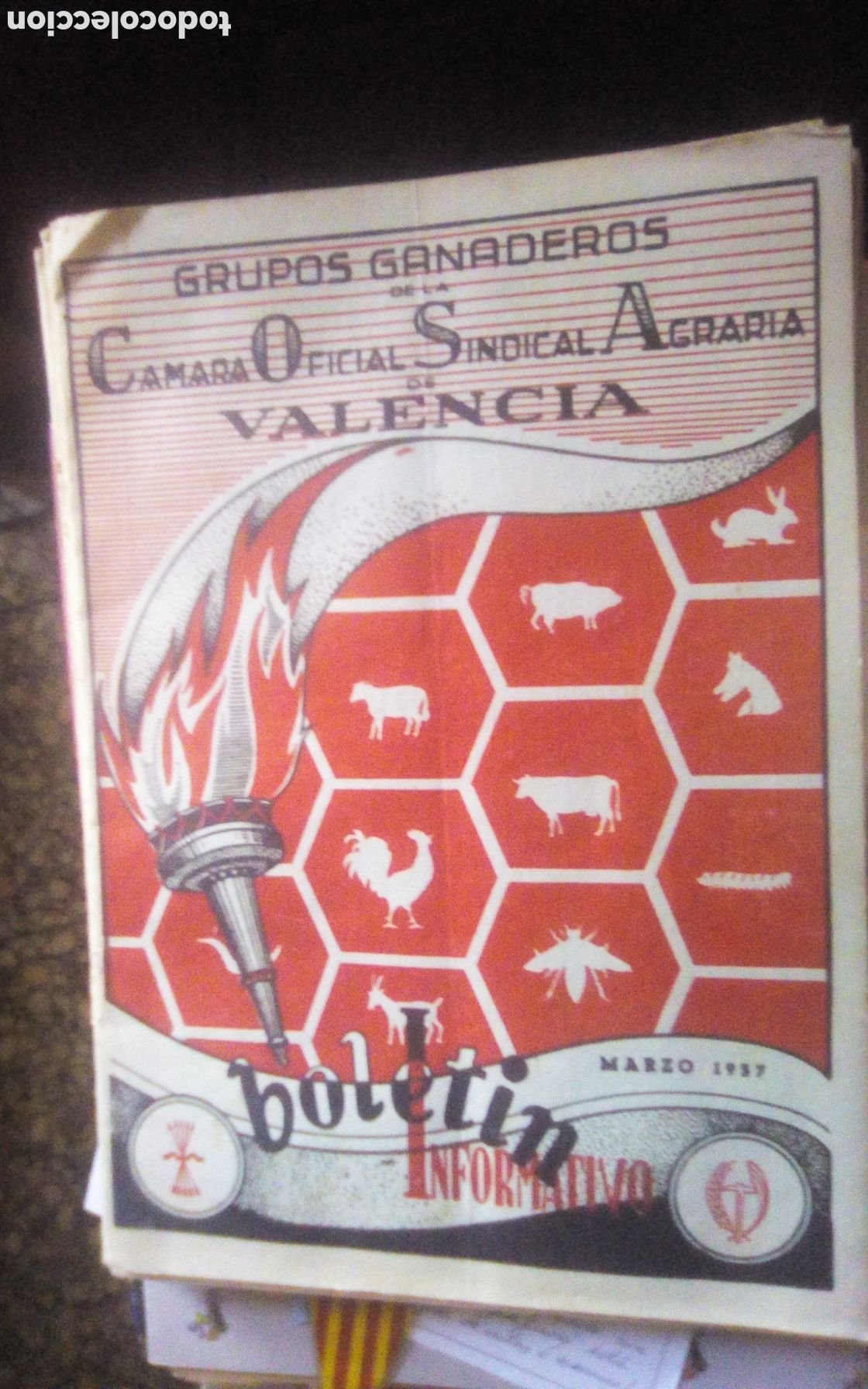 Otros art&iacute;culos de coleccionismo en papel: Bolet&iacute;n informativo Grupos Ganaderos de la C&aacute;mara Oficial Sindical Agraria de Valencia. N&deg; 34. 1957.