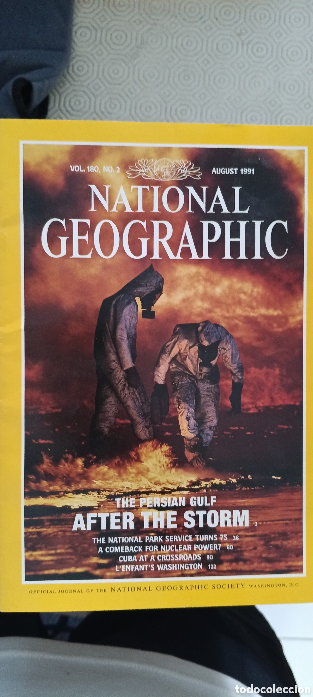Otros art&iacute;culos de coleccionismo en papel: REVISTAS NATIONAL GEOGRAPHIC