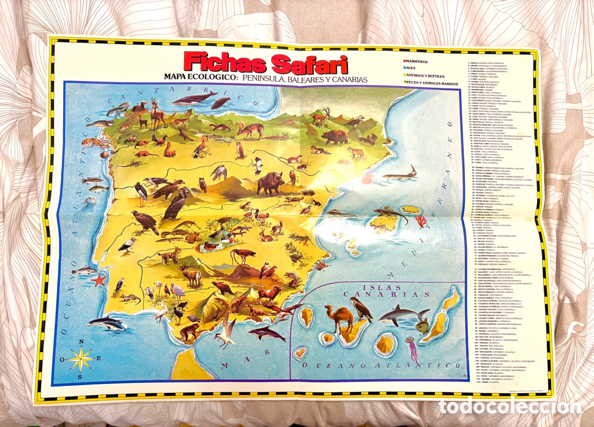Otros art&iacute;culos de coleccionismo en papel: P&oacute;ster Gigante Mapa Ecol&oacute;gico &rdquo;Fichas Safari&rdquo; (1992) - Gran Formato - Muy Buen Estado