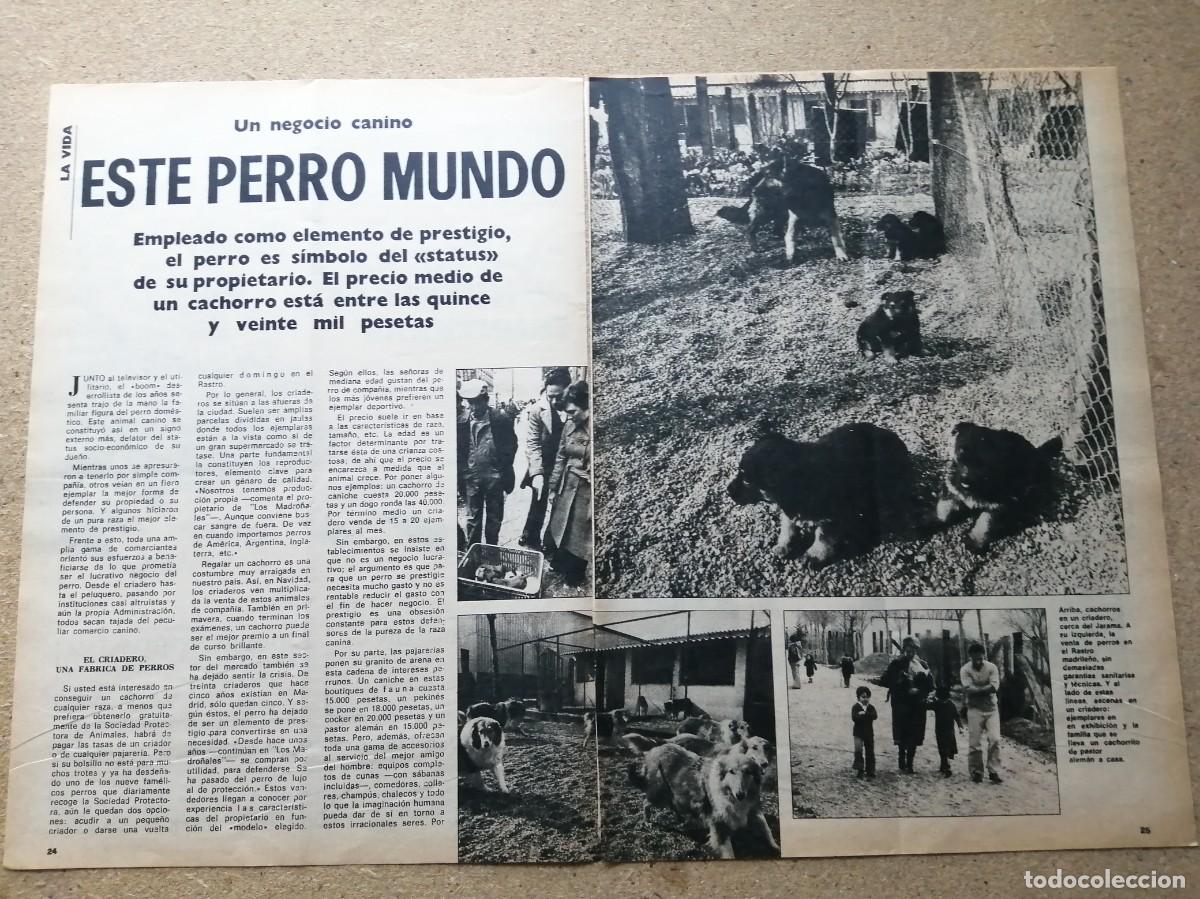 Otros art&iacute;culos de coleccionismo en papel: REPORTAJE. ESTE PERRO MUNDO
