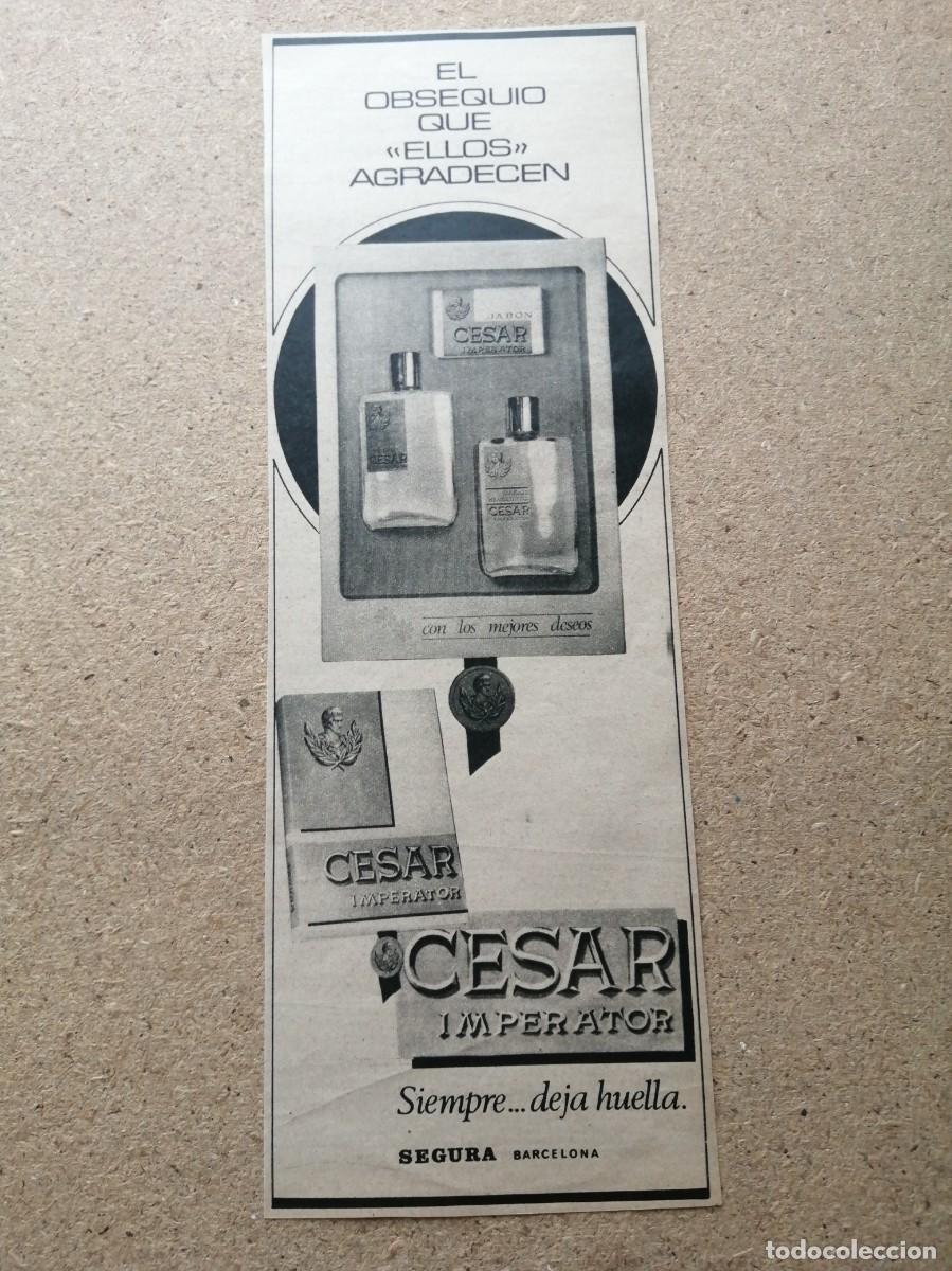 Otros art&iacute;culos de coleccionismo en papel: ANUNCIO. COLONIA CESAR IMPERATOR