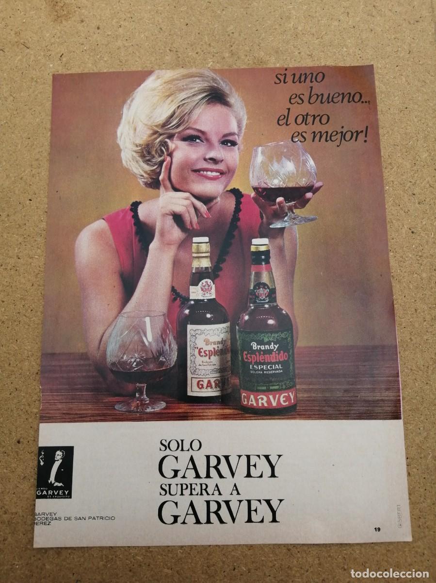 Otros art&iacute;culos de coleccionismo en papel: ANUNCIO. BRANDY ESPLENDIDO GARVEY