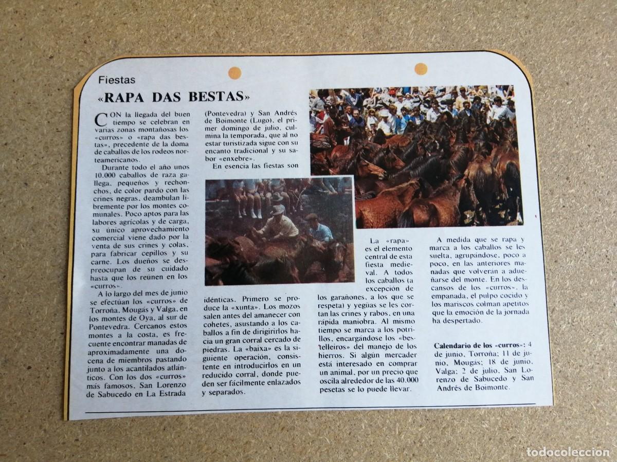 Otros art&iacute;culos de coleccionismo en papel: ARTICULO. RAPA DAS BESTAS