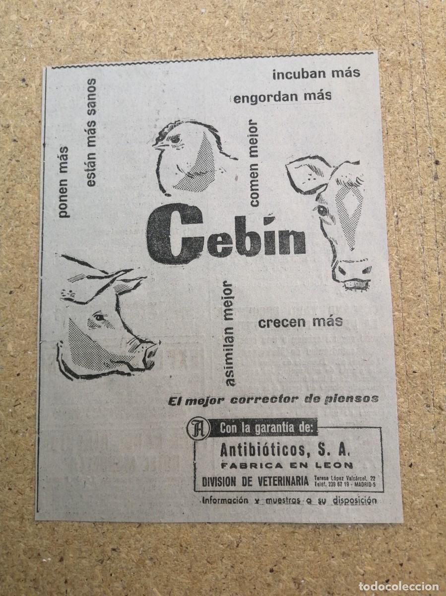 Otros art&iacute;culos de coleccionismo en papel: ANUNCIO. PIENSOS CEBIN