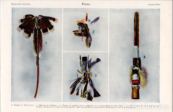 Sammelleidenschaft Andere Papierartikel: LAMINA ESPASA V52389: Pluma
