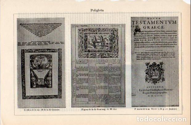 Sammelleidenschaft Andere Papierartikel: LAMINA ESPASA V52427: Poliglota