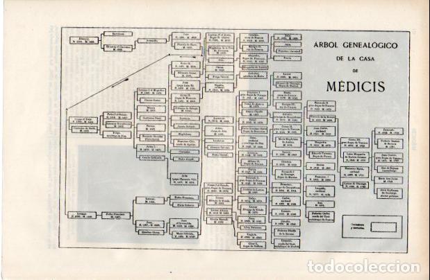 Sammelleidenschaft Andere Papierartikel: LAMINA ESPASA V52439: Arbol genealogico casa de Medicis