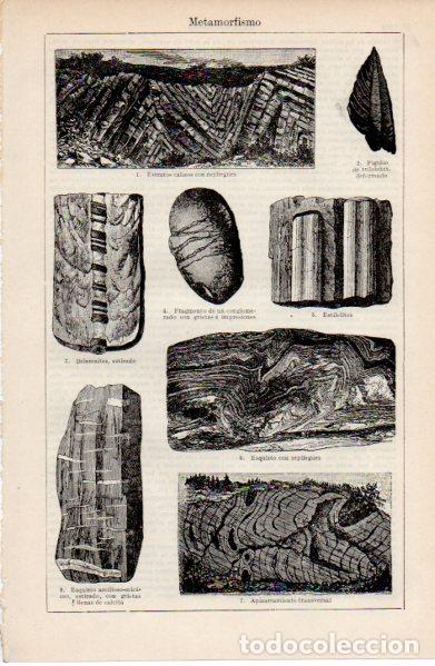 Paper Collecting Others: LAMINA ESPASA V52632: Metamorfismo