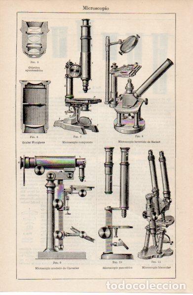 Sammelleidenschaft Andere Papierartikel: LAMINA ESPASA V52664: Tipos de microscopio