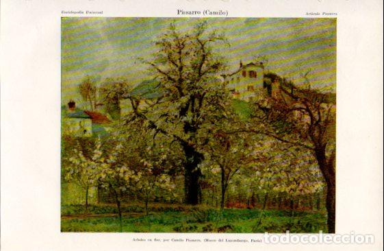 Paper Collecting Others: LAMINA ESPASA V52330: Arboles en flor por Pissarro