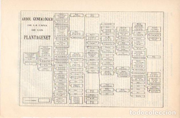 Otros art&iacute;culos de coleccionismo en papel: LAMINA ESPASA V52361: Arbol genealogico Casa de los Plantagenet