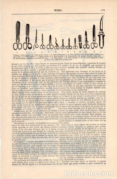 Sammelleidenschaft Andere Papierartikel: LAMINA ESPASA V52777: Tipos de tijera