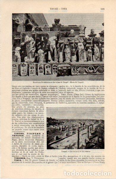 Collectionnisme Papier divers: LAMINA ESPASA V52787: Esculturas y ruinas de Timgad, Argelia