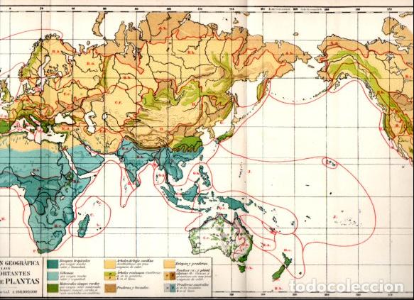 Collectionnisme Papier divers: LAMINA ESPASA V52854: Mapa distribucion geografica de los grupos de plantas mas importante en el mun