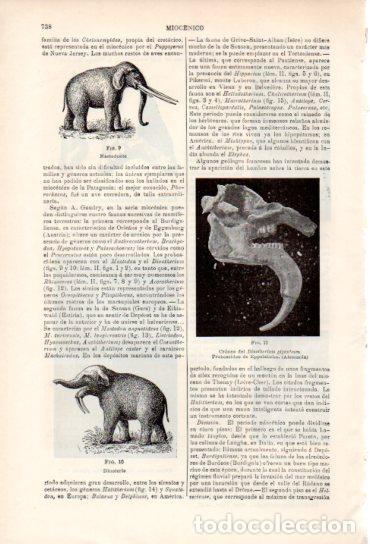 Sammelleidenschaft Andere Papierartikel: LAMINA ESPASA V54959: Mastodonte y Dinoterio - Varios