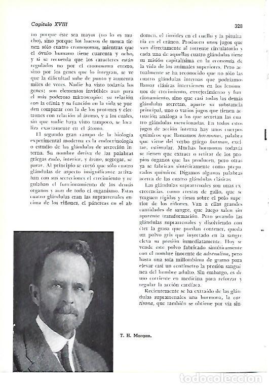 Paper Collecting Others: LAMINA 41359: T. H. Morgan - Pijoan