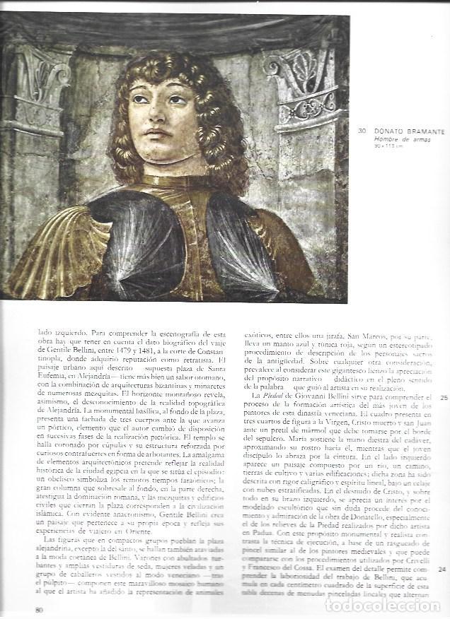 Sammelleidenschaft Andere Papierartikel: LAMINA 41508: Hombre de armas, por Bramante - VVAA