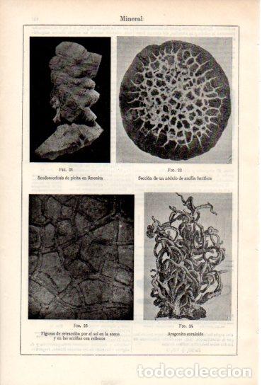 Collectionnisme Papier divers: LAMINA ESPASA V54933: Mineral - Varios